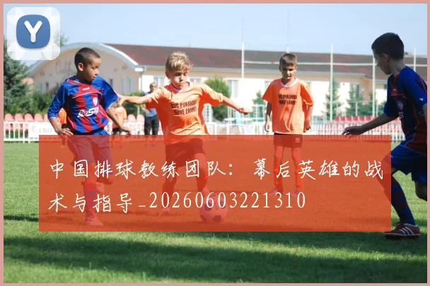 中国排球教练团队：幕后英雄的战术与指导_20260603221310