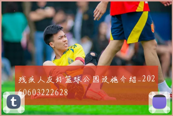 残疾人友好篮球公园设施介绍_20260603222628
