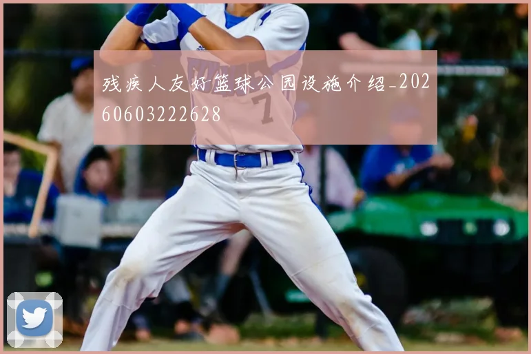 残疾人友好篮球公园设施介绍_20260603222628
